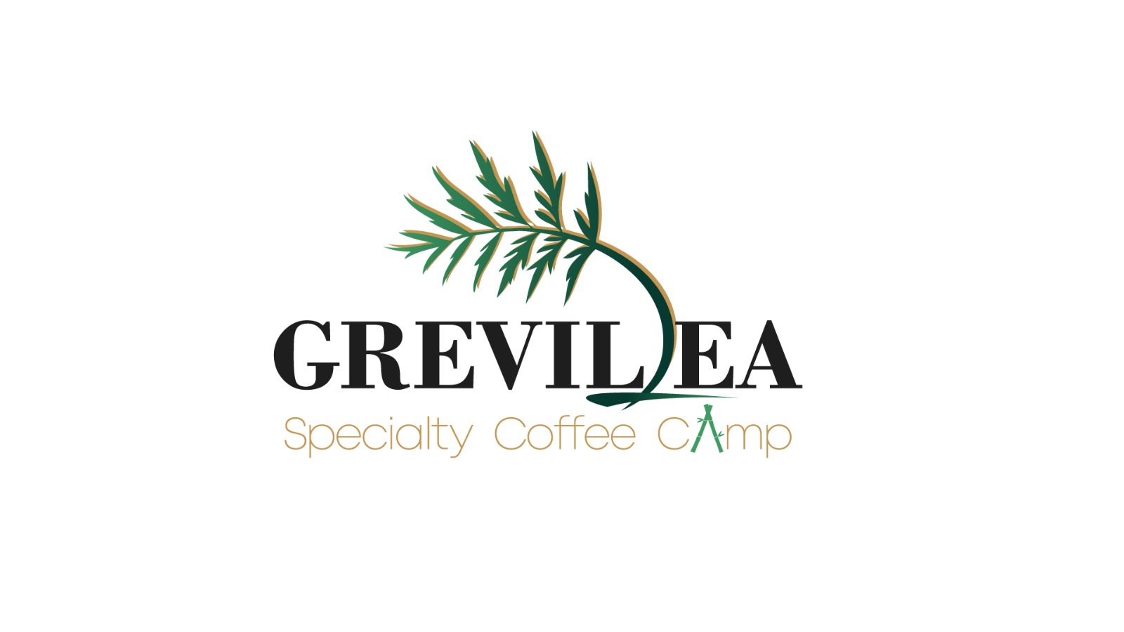 grevilleacoffeecamp.com