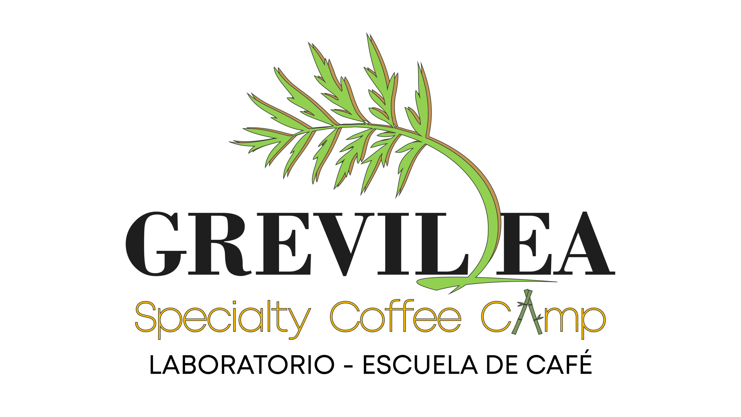 grevilleacoffeecamp.com